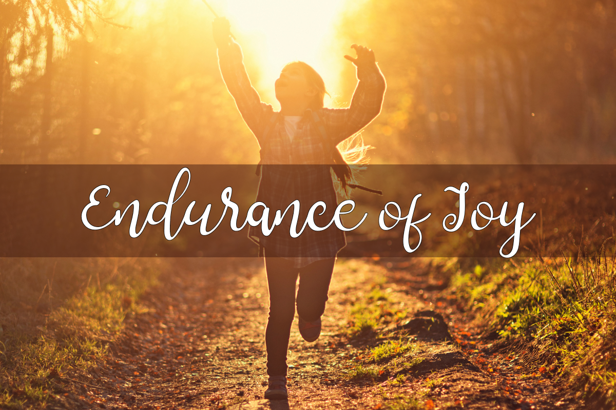 Endurance of Joy