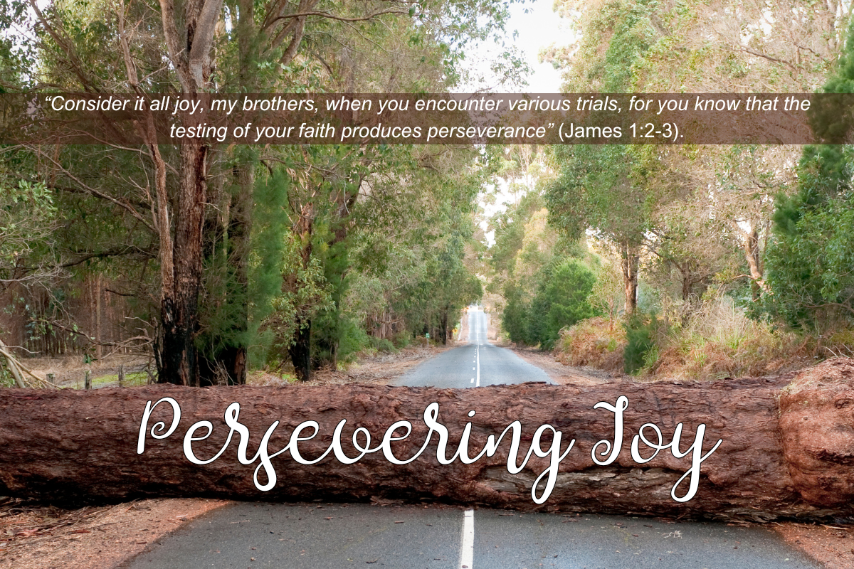 Persevering Joy